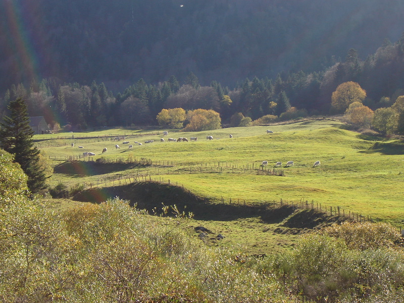 Autres_projets_territoire_epfa2